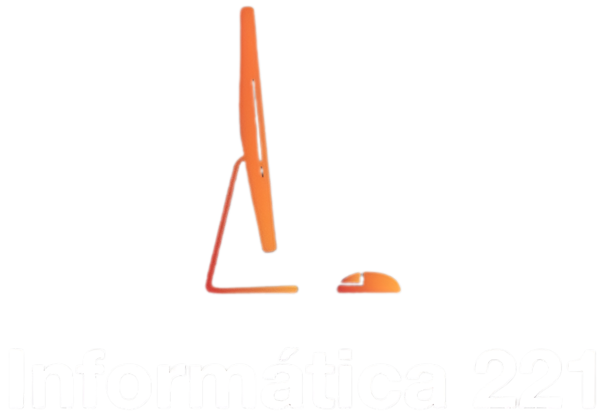 Logo informatica 221